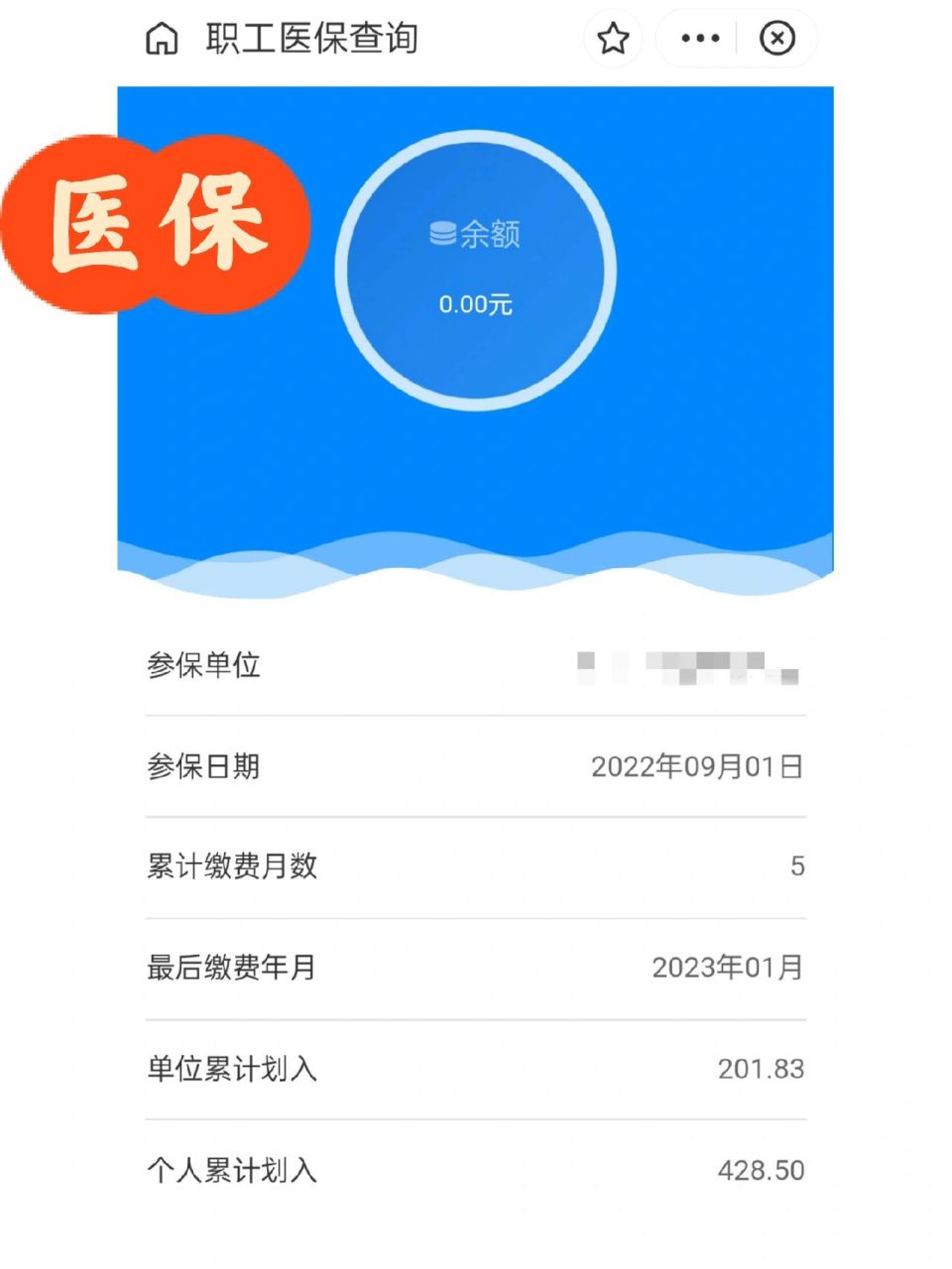 拉萨最新为什么缴纳了医保查不到余额方法分析(最方便真实的拉萨为什么交了医保后查询不到医保缴费信息方法)